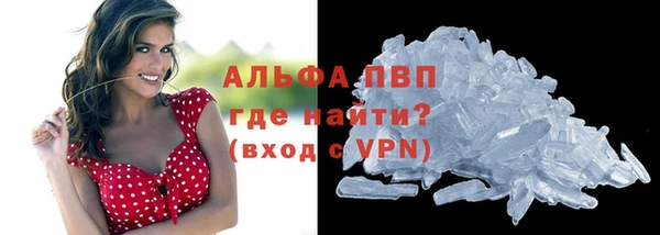 молекула духа Белоозёрский