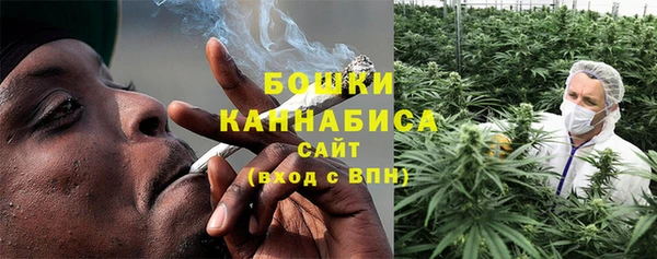 молекула духа Белоозёрский