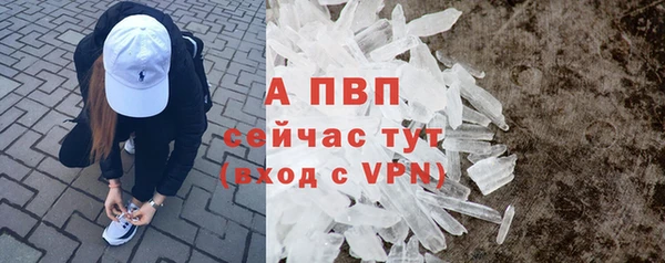 молекула духа Белоозёрский